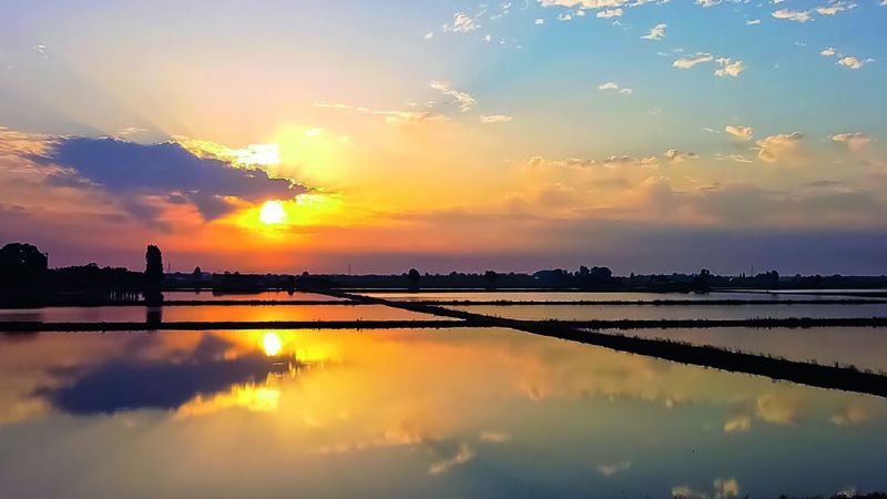 PROGRESSO E AGRICOLTURA NEL COMUNE DEL RISO