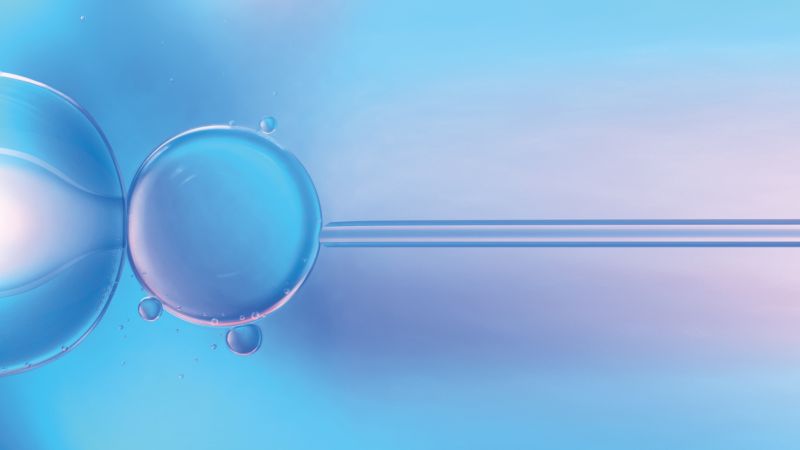 Pma:  nel nostro paese centri e tecniche ottimi